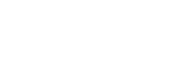 MERCADO FLORES