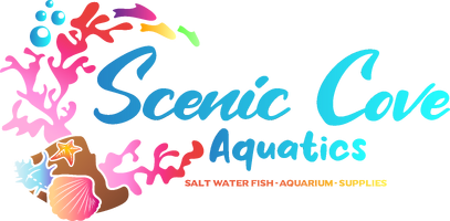 SCENIC COVE AQUATICS