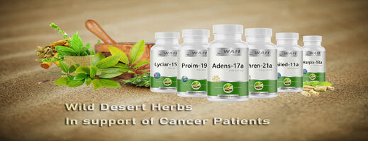Cancer Patients Support