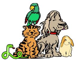 Pet Cremation of Palm Beach County