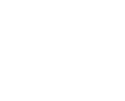 Busy Tails LLC