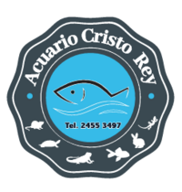 Acuario Cristo Rey