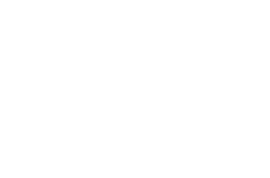 THE STEEPED LEAF