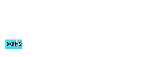 Neko Fresh