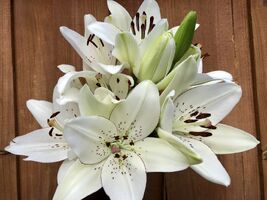 Elegant Eyeliner Lilies - #4