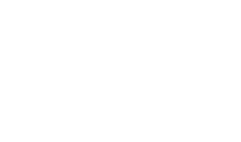 Flagship Athletic Performance