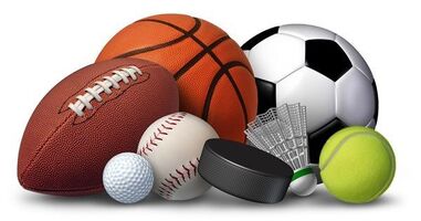 Every Sport you want!