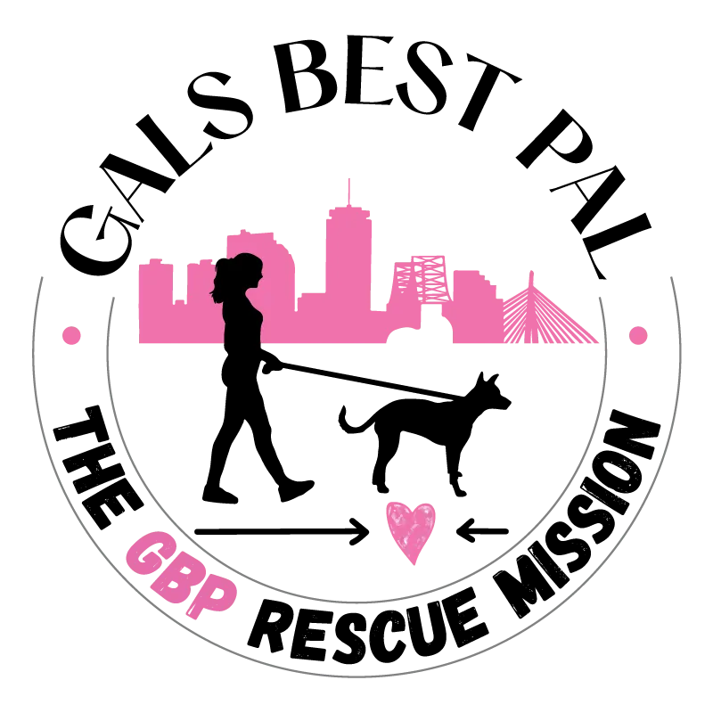 Looking to Adopt? Gal's Best Pal!