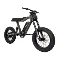 Why P51 Electric Bikes Are One of the Best E-Bikes to Buy in 2026