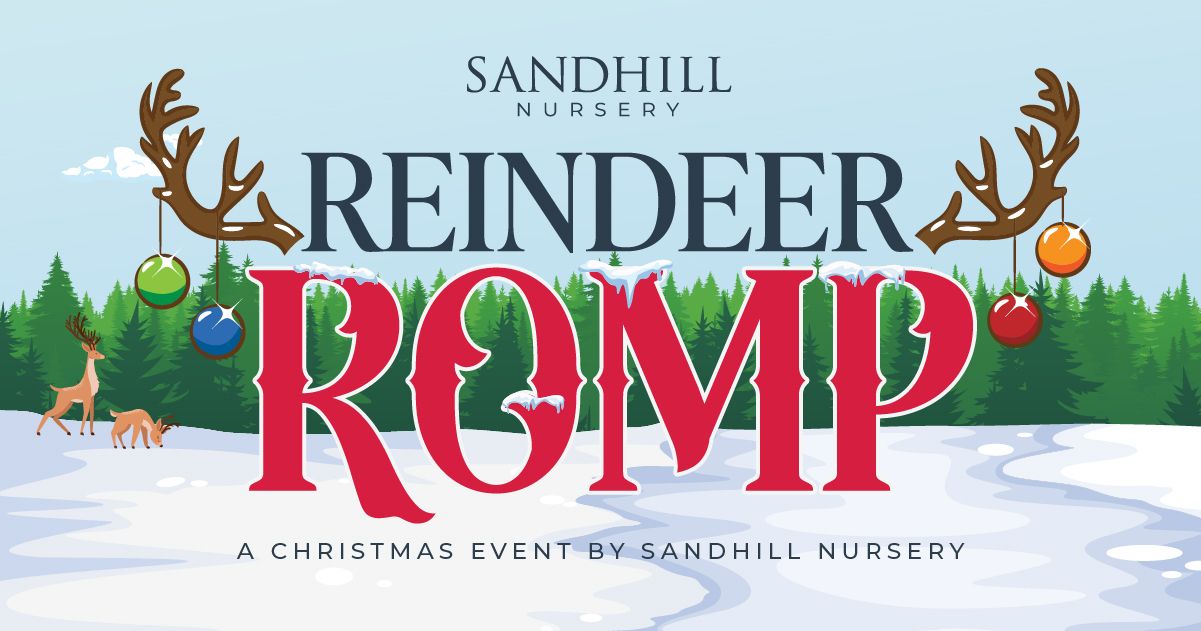 Reindeer Romp - A Magical Holiday Experience for Kids at Sandhill Nursery