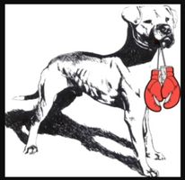 Contender Enterprises Worldwide