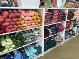 Welcome to Tempe Yarn Online!