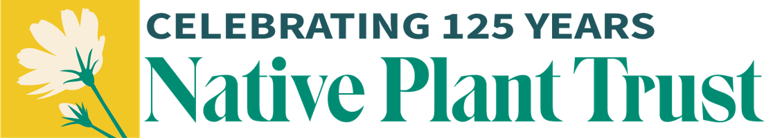 Native Plant Trust Garden Shop