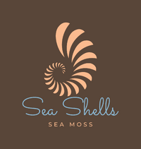 Sea Shells DMV