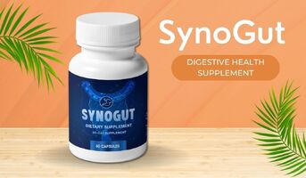 SynoGut [CANADA] Gut Health Supplement