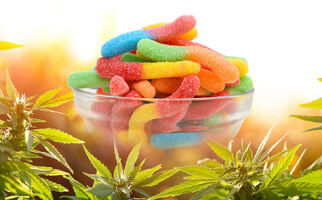 Herbluxe CBD Gummies - Effective Product Good For You, Where To Buy!