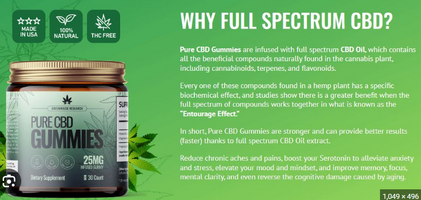 Natural Bliss Cbd Gummies Reviews- {2023 Biggest Fraudulent} Does It Really Work? Must Read