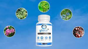  Gluco24 : Should You Buy Gluco24 Pills or Cheap Ingredients?
