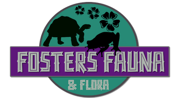 Foster's Fauna and Flora