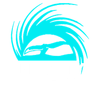 Infinity Divers