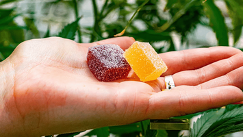 Sweet Dreams Gummies (Untold Facts) Consider Before Buying!