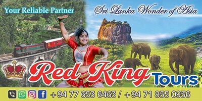 Red King Tours