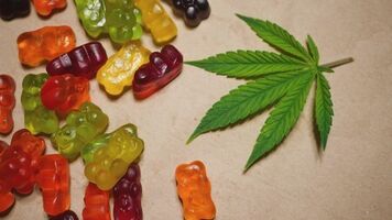 Mrs Poindexter Cbd Gummies Reviews:-Do Not Miss The Chance Sale Is Now Live |