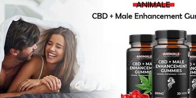  Animale Male Enhancement Cost