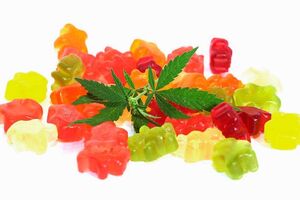 Players Only CBD Gummies (Cannabis Formula) Consider Before Buying!