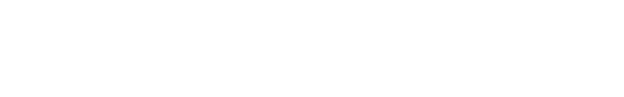 Online Store