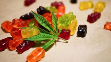 Thera Calm CBD Gummies - Don't Buy Before Read Official Reviews!