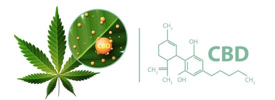 Thera Calm CBD Gummies