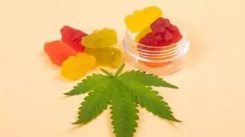 Elevate Well CBD Gummies (Cannabis Formula) Support Healthy Lifestyle!