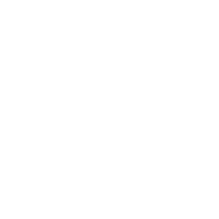 AAA CAPITAL