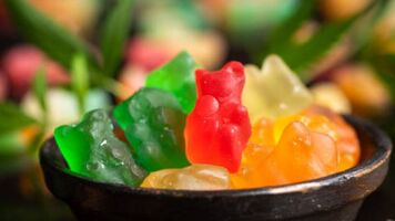 Rejuvazen CBD Gummies (Hidden Facts) Consumers Should Know!