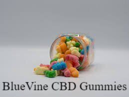  BlueVine CBD Gummies (Modify 2023) Is It Worth Your Money?