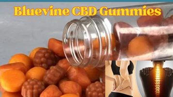 Bluevine CBD Gummies - * For Pain Relief* Price & Order! - #2