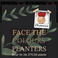 Face the Colours Planters