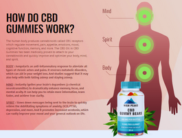 High Peaks CBD Gummies: Your Daily Dose of Tranquility in the US