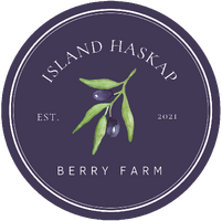 Island Haskap Berries