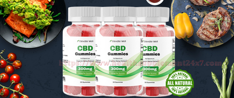 What Ingredients Do Elevate Well CBD Gummies Contain?