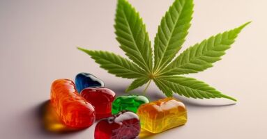 Choice CBD Gummies [ Scam Alerts] Is It Fake Or Trusted?