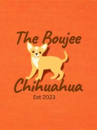 The Boujee Chihuahua