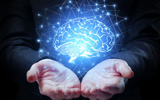 Neuro Thrive Brain Support Official Website.
