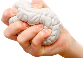 Neuro Thrive Brain Support Reviews USA