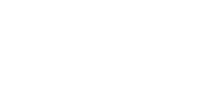 Vizzima