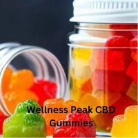 Wellness Peak CBD Gummies Hoax or legit? Must Read 