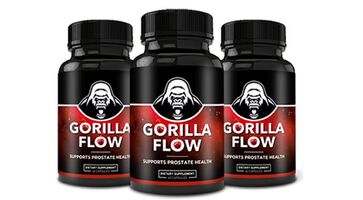  What are the Benefits of using GorillaFlow?
