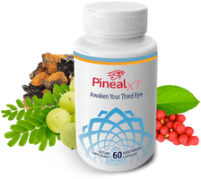 Pineal XT Reviews