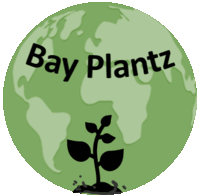 Bay plants